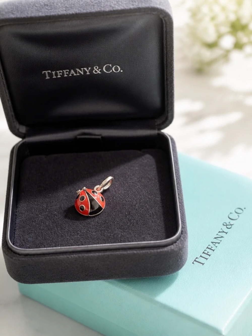 Tiffany & Co. Red and Black Ladybug Enamel Charm